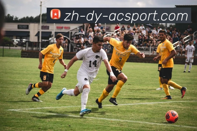 米兰体育官网平台生态图